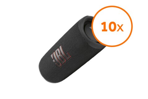 JBL Flip 6 Grey
